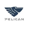 Pelican.van в Нижнем Новгороде